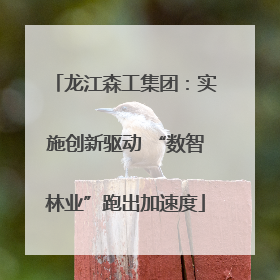 龙江森工集团：实施创新驱动 “数智林业”跑出加速度