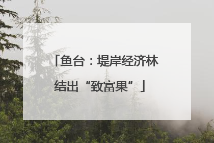 鱼台：堤岸经济林结出“致富果”