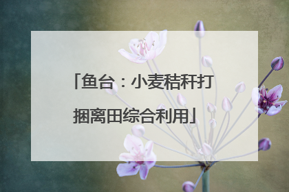 鱼台：小麦秸秆打捆离田综合利用