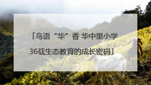 鸟语“华”香 华中里小学36载生态教育的成长密码