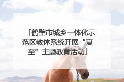 鹤壁市城乡一体化示范区教体系统开展“夏至”主题教育活动