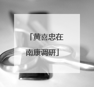 黄喜忠在南康调研