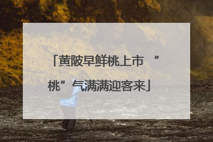 黄陂早鲜桃上市 “桃”气满满迎客来