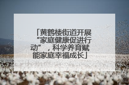 黄鹤楼街道开展“家庭健康促进行动”，科学养育赋能家庭幸福成长