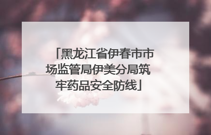 黑龙江省伊春市市场监管局伊美分局筑牢药品安全防线