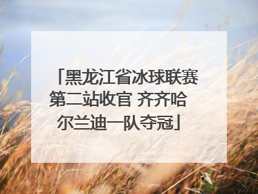 黑龙江省冰球联赛第二站收官 齐齐哈尔兰迪一队夺冠