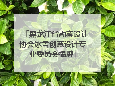 黑龙江省勘察设计协会冰雪创意设计专业委员会揭牌