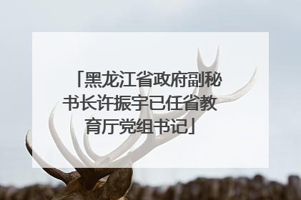 黑龙江省政府副秘书长许振宇已任省教育厅党组书记