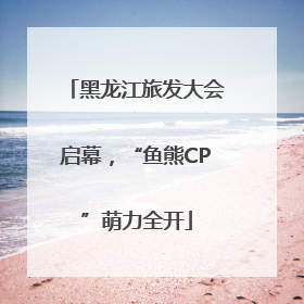 黑龙江旅发大会启幕，“鱼熊CP”萌力全开