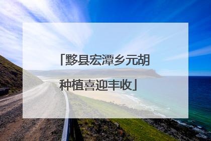 黟县宏潭乡元胡种植喜迎丰收