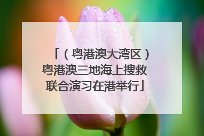 （粤港澳大湾区）粤港澳三地海上搜救联合演习在港举行