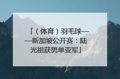 （体育）羽毛球——新加坡公开赛：陆光祖获男单亚军