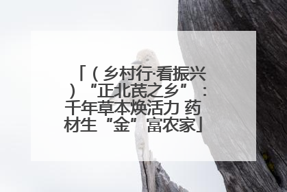 （乡村行·看振兴）“正北芪之乡”：千年草本焕活力 药材生“金”富农家