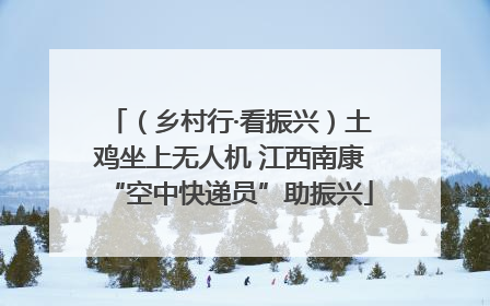 （乡村行·看振兴）土鸡坐上无人机 江西南康“空中快递员”助振兴