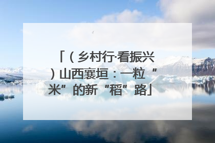 （乡村行·看振兴）山西襄垣：一粒“米”的新“稻”路