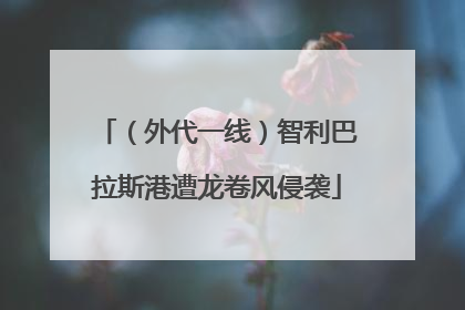 （外代一线）智利巴拉斯港遭龙卷风侵袭