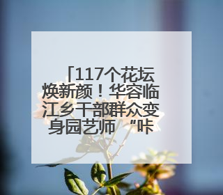 117个花坛焕新颜！华容临江乡干部群众变身园艺师 “咔嚓咔嚓”省下数万元