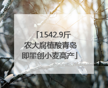 1542.9斤 农大腐植酸青岛即墨创小麦高产