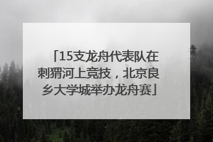15支龙舟代表队在刺猬河上竞技，北京良乡大学城举办龙舟赛