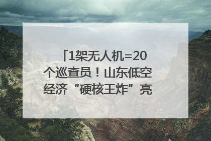 1架无人机=20个巡查员！山东低空经济“硬核王炸”亮相青岛，下一个万亿赛道藏在这里