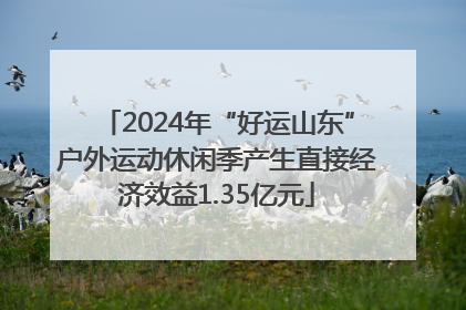 2024年“好运山东”户外运动休闲季产生直接经济效益1.35亿元
