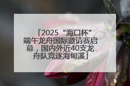 2025“海口杯”端午龙舟国际邀请赛启幕，国内外近40支龙舟队竞逐海甸溪