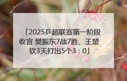 2025乒超联赛第一阶段收官 樊振东7战7胜、王楚钦3天打出5个3∶0