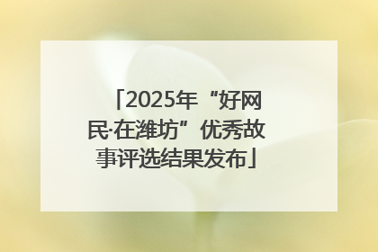 2025年“好网民·在潍坊”优秀故事评选结果发布