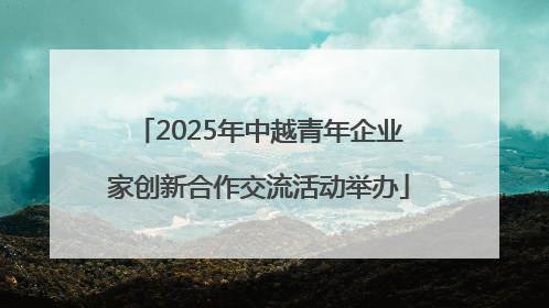 2025年中越青年企业家创新合作交流活动举办