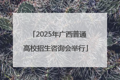 2025年广西普通高校招生咨询会举行