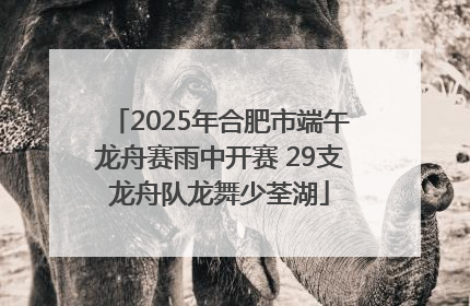2025年合肥市端午龙舟赛雨中开赛 29支龙舟队龙舞少荃湖