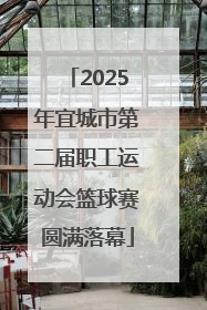 2025年宜城市第二届职工运动会篮球赛圆满落幕