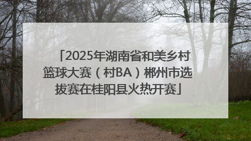 2025年湖南省和美乡村篮球大赛（村BA）郴州市选拔赛在桂阳县火热开赛