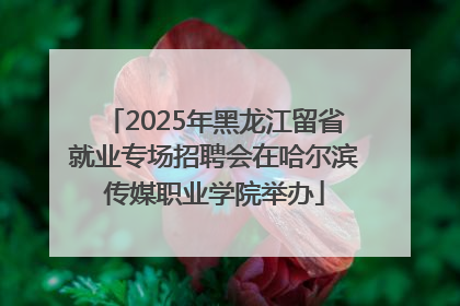 2025年黑龙江留省就业专场招聘会在哈尔滨传媒职业学院举办