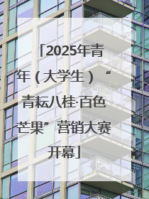 2025年青年（大学生）“青耘八桂·百色芒果”营销大赛开幕