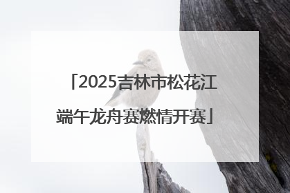2025吉林市松花江端午龙舟赛燃情开赛