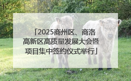 2025商州区、商洛高新区高质量发展大会暨项目集中签约仪式举行
