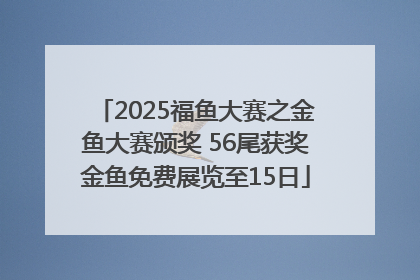 2025福鱼大赛之金鱼大赛颁奖 56尾获奖金鱼免费展览至15日