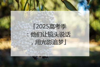 2025高考季：他们让镜头说话，用光影追梦
