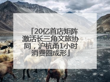20亿首店矩阵激活长三角文旅协同，沪杭甬1小时消费圈成形