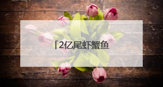 2亿尾虾蟹鱼苗将游入大海