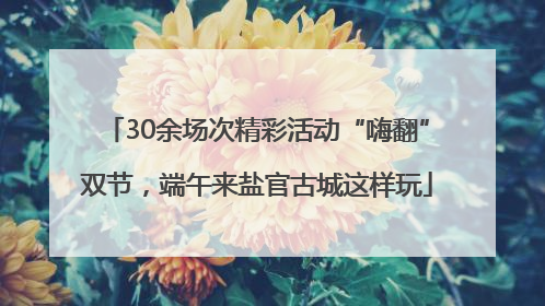 30余场次精彩活动“嗨翻”双节，端午来盐官古城这样玩