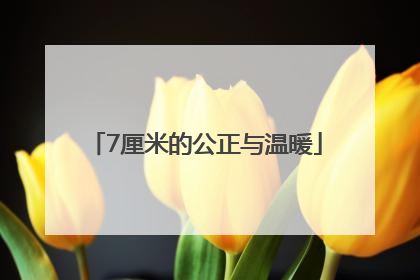 7厘米的公正与温暖