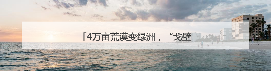 4万亩荒漠变绿洲，“戈壁奇迹”背后的“潍坊密码”