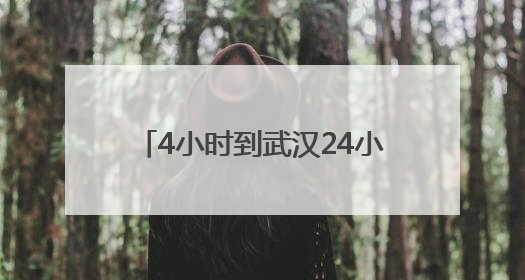4小时到武汉24小时达新疆，京东助广东荔枝“鲜”到全国