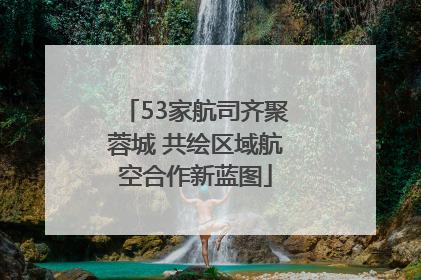 53家航司齐聚蓉城 共绘区域航空合作新蓝图