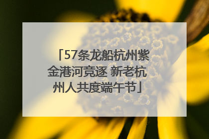 57条龙船杭州紫金港河竞逐 新老杭州人共度端午节