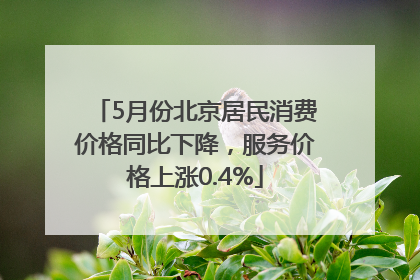 5月份北京居民消费价格同比下降，服务价格上涨0.4%
