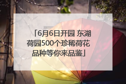6月6日开园 东湖荷园500个珍稀荷花品种等你来品鉴