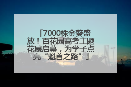 7000株金葵盛放！百花园高考主题花展启幕，为学子点亮“魁首之路”